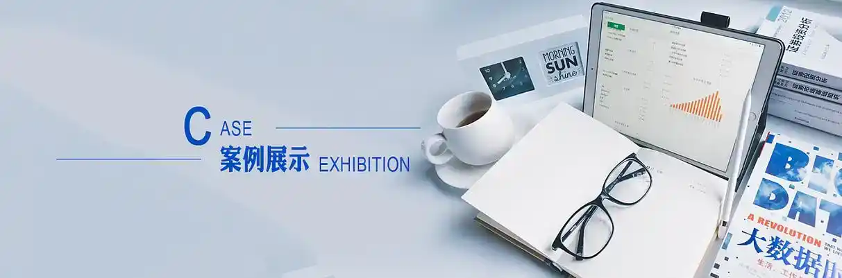 双台子区软件开发